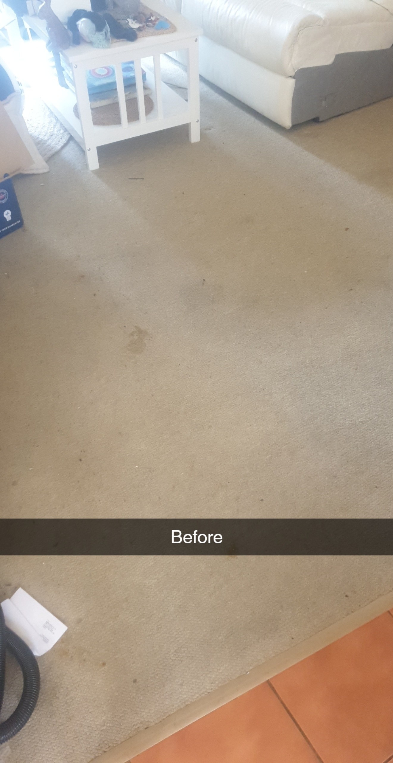 Stained beige carpet in a lounge room before cleaning